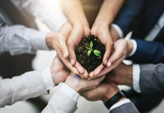 hands holding a growing plant